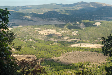 Landscape between trees