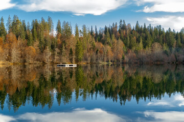 Fototapeta premium Fall color forest and foliage landscape surround an idyllic mountain lake Crestasee in the Alps of Switzerland on a late autumn day with reflections in the water. Flims, Switzerland