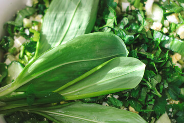 spring fresh greens salad on a plate.