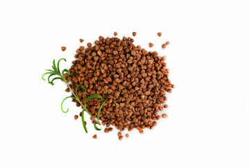 Buckwheat and a sprig of greenery on a white background.Healthy food.