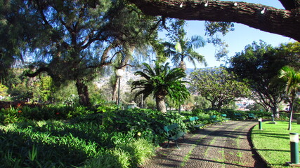 Fototapeta premium garden