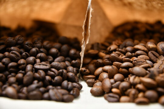 two types of coffee beans