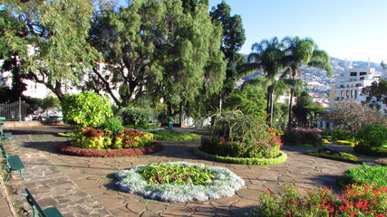 Fototapeta na wymiar garden land