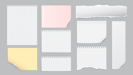 Set of torn white, yellow note, notebook paper pieces stuck on light grey background. Vector illustration