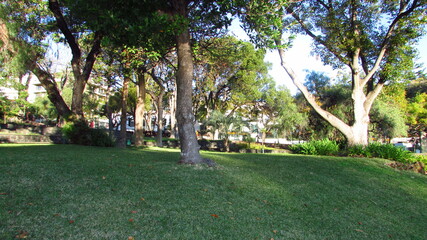 Obraz premium garden land