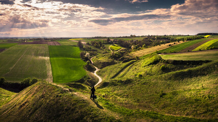 vineyard © Sieku Photo