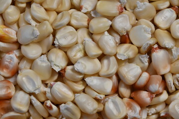 corn
