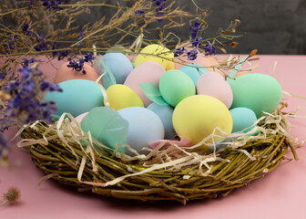 Multi-colored Easter eggs and feathers in pastel colors lie in a nest of branches on a pink background. Festive Easter card.
