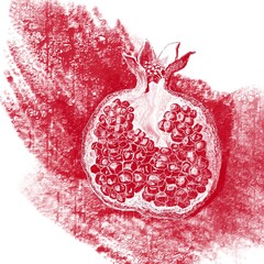 Graphic monochrome illustration of half ripe pomegranate with grains on a red abstract background.