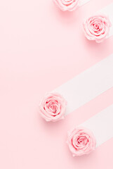 Pastel pink background with  rose flowers and white  lines. Romantic wallpaper.