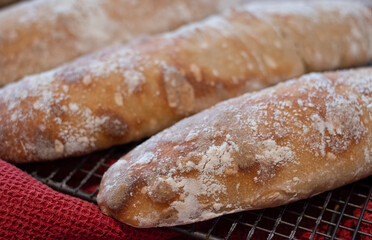 Home made ciabatta sour dough loaves cooling on wire tray on wooden surface, baked during the Coronavirus lockdown.