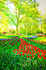 fresh lawn with flowers