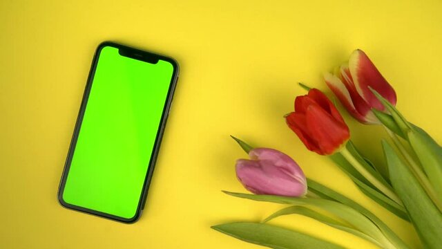 a phone with a green screen background. Yellow background with tulips. buying concept 