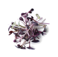 Pile of fresh microgreen isolated on white, top view