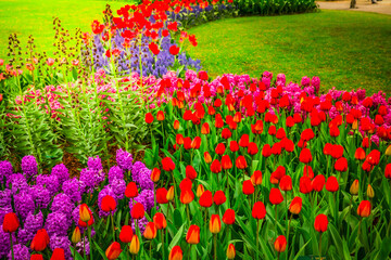 fresh lawn with flowers