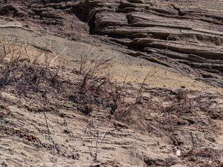 sand in the quarry in the sun shines