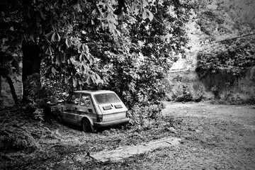 off road car © Sieku Photo