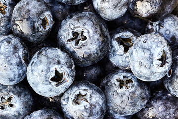 Wet Blue Berries - Balcony Daylight Shot - Macro