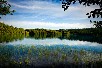 lake in the forest © Sieku Photo