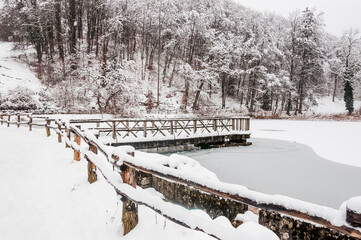 Arlesheim, Ermitage, Holzsteg, See, Winter, Schnee, Schneedecke, Schneefall,  Wanderweg,...