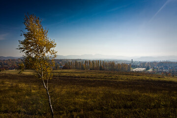 Obraz premium autumn in the mountains