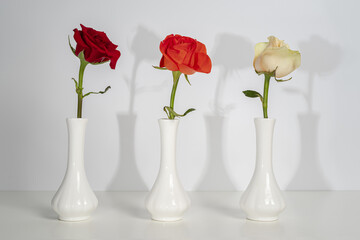 Valentine's Day concept or holiday greetings