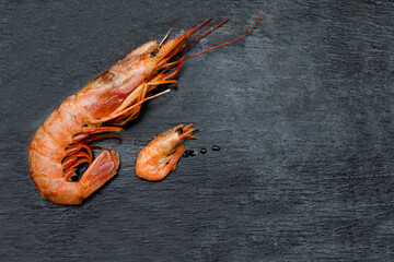 Raw big and small fresh prawn, shrimp on black desk, background with copy space