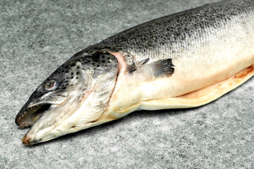 Raw organic fresh salmon fish on dark stone background, top view, close up, seabass preparing for cooking, copy space