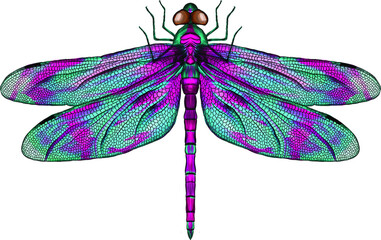 purple and blue dragonfly with delicate wings vector illustration - obrazy, fototapety, plakaty