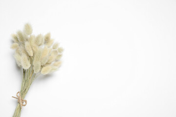 Bunch of beautiful dried flowers on white background, top view