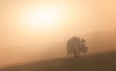 misty morning sunrise