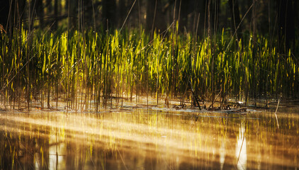 reflection in the water © Sieku Photo