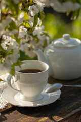 Elegant cup and pudding, cherry blossom branches on wooden table
