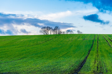 A view of winter farmland from the Brampton Valley Way near Market Harborough, UK in Winter