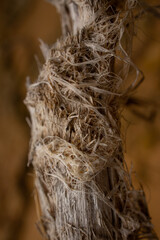 life is more than things