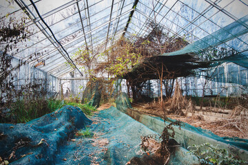 greenhouse © Sieku Photo