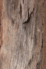 life is more than things