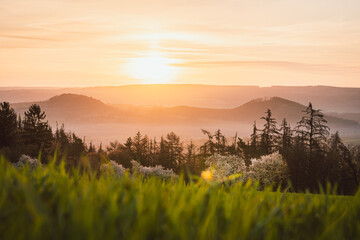 The magical color of spring.