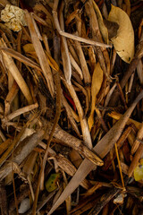 life is more than things