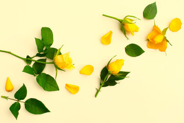 Beautiful yellow roses with green leaves and petals on yellow background