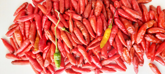 Malagueta pepper, São Paulo, Brazil