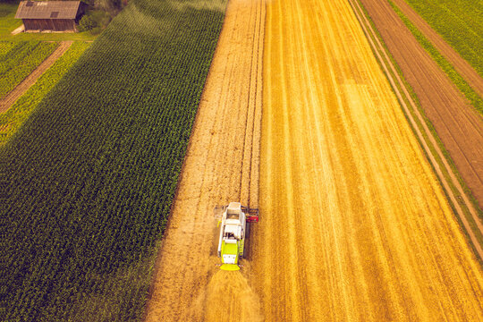 A modern combine harvester working on wheat field, aerial view