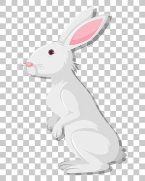 White rabbit cartoon isolated on transparent background