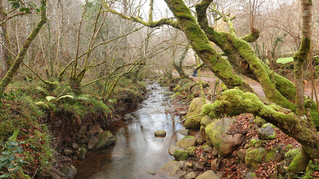 R&iacute;o Bayones, Parque Natural Saja Besaya, Ucieda. Cantabria, Espa&ntilde;a
