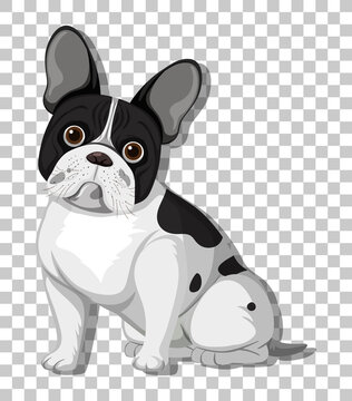 French bulldog in sitting position cartoon character isolated on transparent background