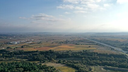 Fototapeta na wymiar survol des vignes dans le sud de la France