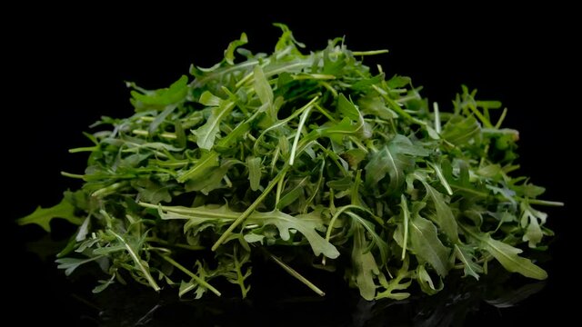 Heap of fresh arugula leaf rotating on a black background. Vibrant green fresh rucola salad.