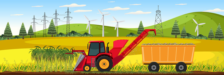 Sugar cane farming harvest at day time