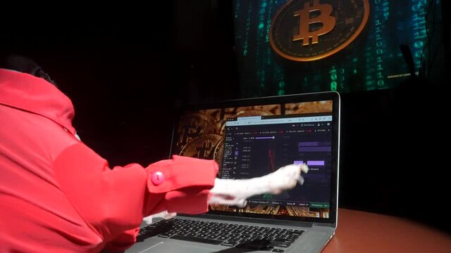 This video shows an Italian Greyhound dog frantically buying and selling bitcoin cryptocurrencies on her laptop computer.