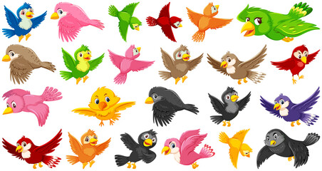 Set of bird cartoon character